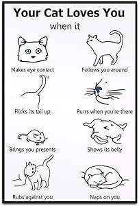 Katt Grejer, Cat Language, Animal Humor, Cat Info, Cat Hacks, Kitten Care, Tin Metal, Cat Parenting, Cat Signs