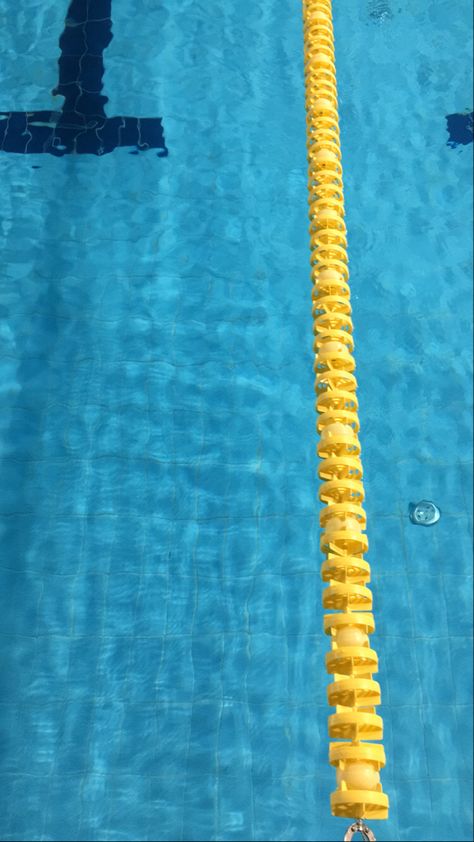 Swimming Coach Aesthetic, Sports Announcer, Swimming Pool Photography, Swimming Coach, America Images, I Love Swimming, Swimmers Life, Pool Photography, Swim Coach