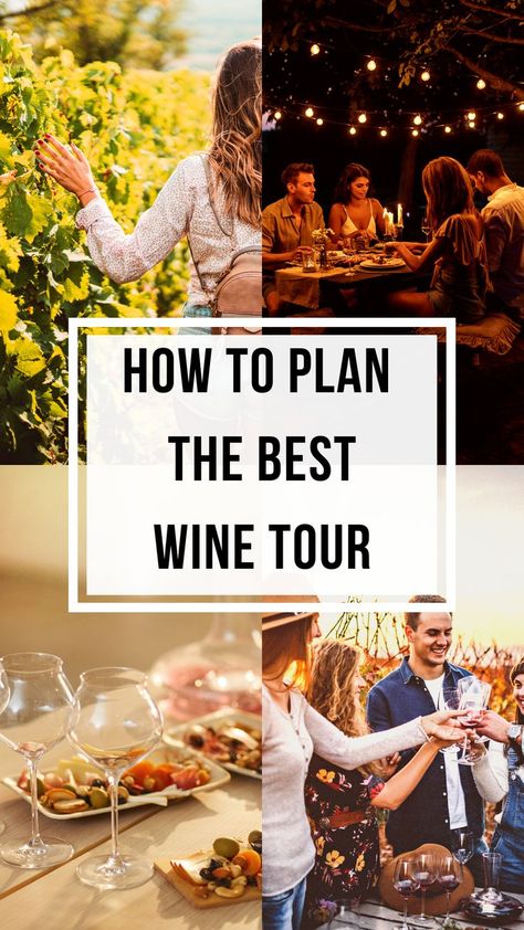 If you are in charge of the planning for your group of friends or you want to take your loved one for wine tastings and tours, we’ve got you covered. Scroll down to read our ultimate guide to plan the most perfect wine tour ever. Cowichan Valley, Wine Etiquette, Wine Basics, Wine Snacks, Wine Knowledge, Best Red Wine, Wine White, Wine Tourism, Tour Around The World