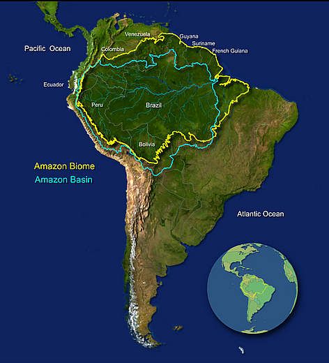 Map Of The Amazon Rainforest Amazon Basin Map, Amazon Rainforest Map, Rainforest Map, Rainforest Deforestation, Posters Amazon, Forest Map, South America Map, Amazon Forest, Interesting Maps