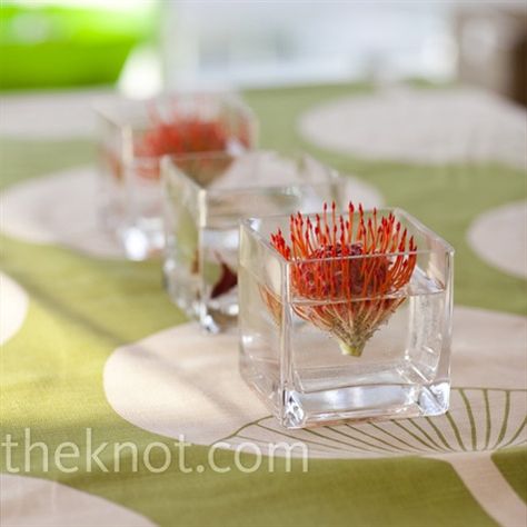 Love the single floating flower look, and the use of a non-traditional bloom - maybe have floating candles too? Protea Centerpiece, Submerged Flower Centerpiece, Floating Flower Centerpieces, Pincushion Protea, Simple Centerpiece, Wedding Party Centerpieces, Japanese Theme, Table Flower Arrangements, Budget Friendly Wedding