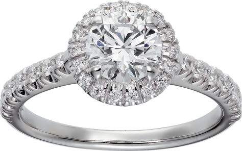 Cartier Destinée SolitairePlatinum, diamonds Pearl Halo Ring, Traditional Engagement Rings, Future Engagement Rings, Trending Engagement Rings, Celebrity Engagement Rings, Ring Trends, Engagement Rings Platinum, Round Diamond Engagement Rings, Cartier Ring