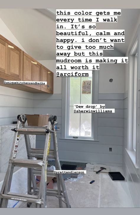 Sherwin Williams Dew Drop, Dew Drop Sherwin Williams, Laundry Room Paint Colors, Mudroom Paint Color, Laundry Room Paint Color, Diy House Renovations, Paint Color Inspiration, Interior Wall Paint, The Home Edit