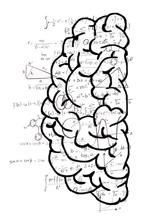 Brain Mind Psychology - Free image on Pixabay Brain Illustration Creative, Brain Cartoon Illustration, Mind Art Brain Illustrations, Brain Vector Illustration, Human Brain Anatomy, Brain Vector, Project Cover Page, Math Design, Psychology Notes