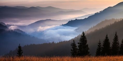 Fog Mountain, Forest Wall Mural, Fine Art Landscape Photography, Image Nature, Landscape Art Painting, Fine Art Landscape, Cool Landscapes, Watercolor Inspiration, Art Landscape