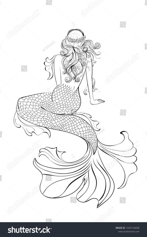 Fantasy Mermaid Sitting View Back Abstract Stock Illustration 1433152838 | Shutterstock Mermaid Sitting, Step By Step Sketches, Mermaid Sketch, Mermaid Tattoo Designs, Mermaid Embroidery, Beach Drawing, Dragon Comic, Watercolor Mermaid, Fantasy Mermaid