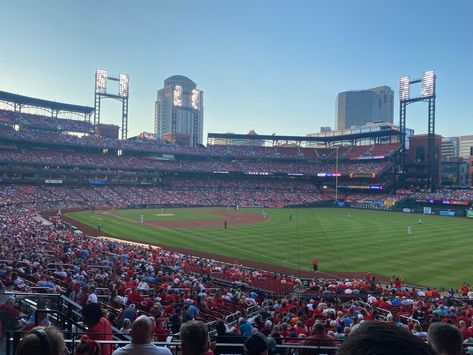 cardinals, baseball, game, fans, red, team, st louis, winning Saint Louis Cardinals Logo, St Louis Cardinals Painting, St Louis Cardinals Aesthetic, Saint Louis Cardinals, Cardinals Game, St. Louis Cardinals, Baseball Games, Baseball Field, Cardinals