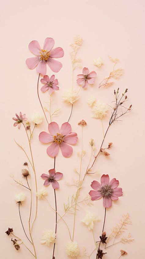 Pressed Diascia flower blossom petal. | Premium Photo - rawpixel Phone Backgrounds Flowers, Diascia Flower, Pink Floral Wallpaper Iphone, Wallpaper Flowers Iphone, Aesthetic Iphone Wallpaper Pastel, Flower Pink Aesthetic, Aesthetic Pictures Pink, Iphone Wallpaper Flowers, Aesthetic Floral Wallpaper