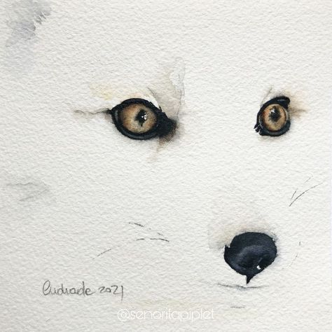 Watercolor Arctic Fox by Andrea Andrade R. @senoritapiplet Fox Watercolor, White Eyes, Arctic Fox, Fox, Photo And Video, Instagram Photos, Instagram Photo, White, Instagram