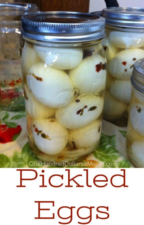 Recipe - How to Make Pickled Eggs - One Hundred Dollars a Month Best Pickled Eggs, Spicy Pickled Eggs, Pickled Egg, Pickled Eggs Recipe, Pickled Eggs, Pickling Spice, Egg Recipe, Pickled Veggies, Pickled Vegetables