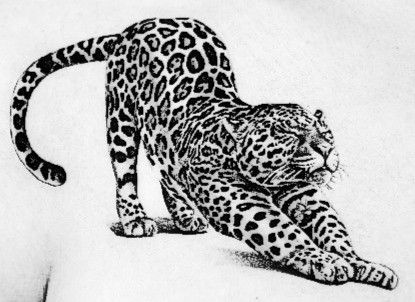 Sleeping Leopard Tattoo, Leopard Ankle Tattoo, Cheetah Stretching Tattoo, Leopard Stretching Tattoo, Microrealistic Tattoo, Cheetah Tattoo Design, Leopard Tattoo Design, Cheetah Tattoos, Snow Leopard Tattoo