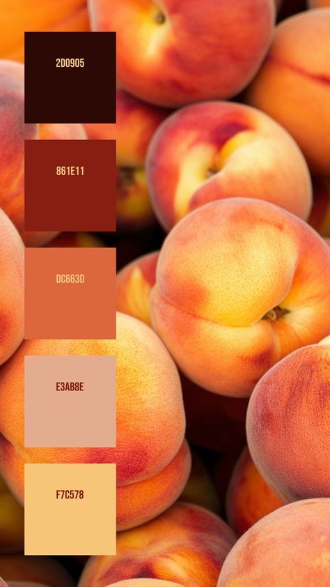 Colors:
2D0905
861E11
DC663D
E3AB8E
F7C578 Red And Orange Color Scheme, Soft Orange Color Palette, Colors That Go With Peach, Color Palette Orange, Peach Color Palette, Peach Color Palettes, Colour Mixing Wheel, Orange Palette, Orange Color Schemes