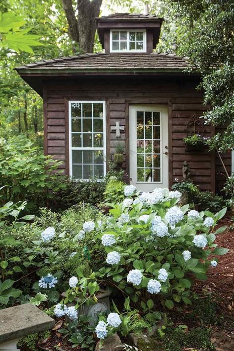 Underground Greenhouse, Garden Shed Interiors, Small Sheds, Gardening Books, Potting Sheds, Outdoor Sheds, Bike Shed, Cafe Style, Garden Oasis