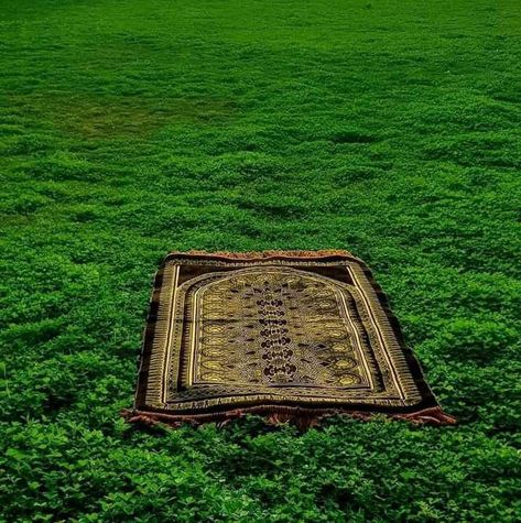 Musallah Photography, Muslim Pictures, Prayer Mat, Islamic Prayer, Islamic Pictures, Nature Wallpaper, Dream Home Design, Vision Board, House Design