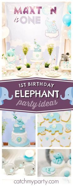 Elephant Macarons, 1st Birthday Elephant Theme, Elephant Party Theme, Birthday Elephant, Elephant Birthday Party, 18th Birthday Party Themes, Themed 1st Birthday, Elephant First Birthday, Boys 1st Birthday Party Ideas