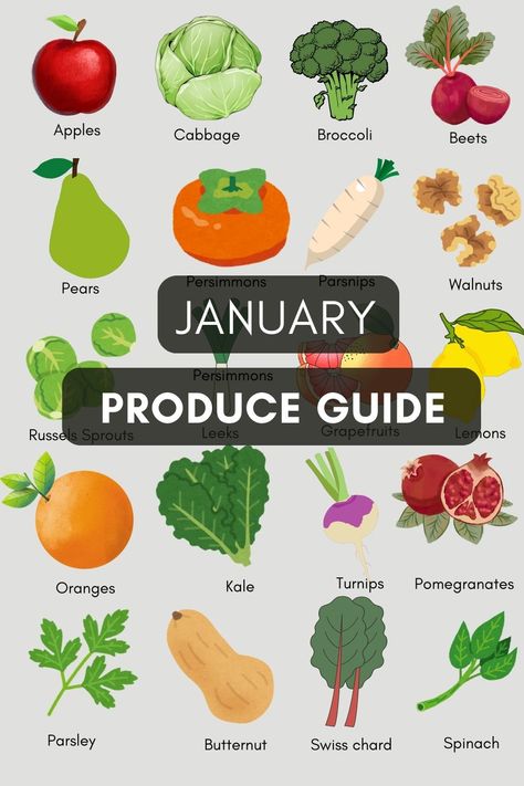 Stock up on fresh, flavorful fruits and veggies like oranges, kale, and winter squash. Eat healthy and enjoy what’s in season! Read more 🌱 Winter In Season Produce, January In Season Produce, Winter Fruits In Season, In Season January, January Produce, Seasonal Produce Chart, Winter Produce, Seasonal Produce Guide, Winter Fruits