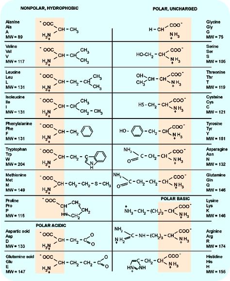 Amino Acids Groups Mcat Amino Acids, Med School Prep, Plant Cell Structure, Acid Wallpaper, Biochemistry Notes, Structural Formula, Chemical Science, Amino Acid Supplements, Chemistry Notes