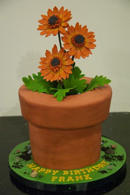 Pot Cake Design, Flower Pot Cake, Pot Cake, A Daisy Flower, Sunflower Cake, Pot Cakes, Cake Custom, Cake For Breakfast, Beautiful Cake Designs