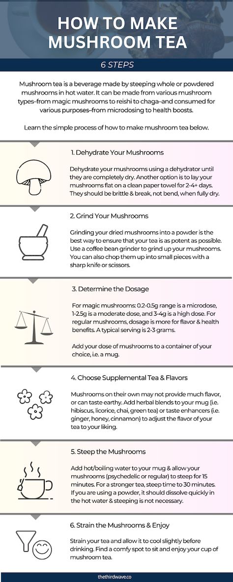 Reishi Mushroom Tea Benefits, Magic Mushroom Tea Recipe, Magic Mushroom Tea, Shroom Tea, Mushroom Tincture Recipes, Shroom Tea Recipe, Things To Do While Tripping On Mushrooms, Mushroom Microdosing, Mushroom Trip