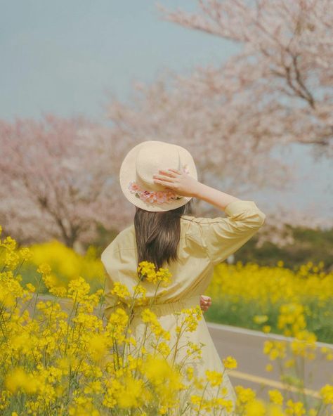 Jeju Photoshoot, Jeju Island, Best Photo Poses, Moon Lovers, Instagram Foto, Aesthetic Photography, Picture Gallery, Photo Poses, Aesthetic Wallpapers