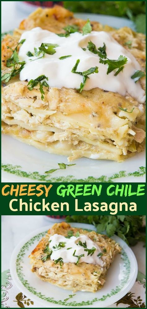 Spicy Green Chili Chicken Lasagna, Green Chile Lasagna, Mexican Chicken Lasagna Recipe, Green Chili Chicken Lasagna Recipe, Spicy Chicken Lasagna, Green Chile Chicken Lasagna, Green Chili Lasagna Recipe, Green Lasagna Recipe, Rotisserie Chicken Lasagna Recipes