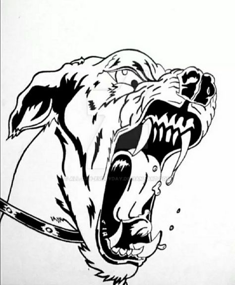 Biting Drawing, Angry Pitbull, Angry Dog, Dog Biting, Drawing Templates, Dog Drawing, Pitbull Dog, Pitbull, Free Download