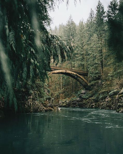 Oregon Aesthetic, Oregon Forest, Forest Camp, Bushcraft Camping, Leyte, Camping World, Camping Experience, Go Camping, Bushcraft