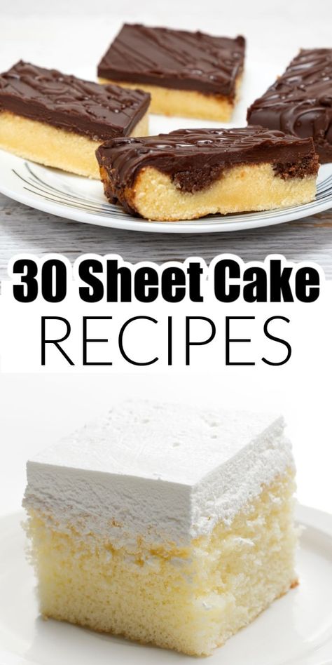 A group of delicious sheet cake recipes. From classic yellow cake to Texas sheet cake, and so many more sheet cake recipes. Wedding Sheet Cake Recipes, Summer Day Sheet Cake, Alaskan Sheet Cake, Cake Squares Sheet, Mini Sheet Cakes Ideas, Delicious Sheet Cake Recipes, Birthday Sheet Cake Ideas For Men, Churro Sheet Cake, Half Sheet Cake Recipe Homemade