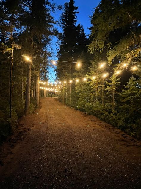 Fairy Trail In Woods, Lights In The Woods, Farm Estate, Backyard Wedding Decorations, Fairy Lights Wedding, Fantasy Garden, Driveway Lighting, Sycamore Tree, Bistro Lights