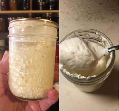 Canning Sour Cream: A Creamy Delight for Long-Term Storage Pressure Canning Cream Cheese, Canned Cheese, Canning Cheese, Canning Preserves, Storing Food Long Term, Canning Water, Homemade Sour Cream, Pressure Canning Recipes, Stuffed Baked Potatoes