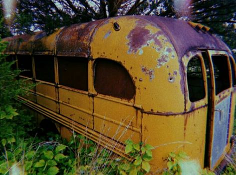 Tree House Hideout, Clubhouse Aesthetic, Forest Hideout Aesthetic, Hideout Aesthetic, Secret Hideout Aesthetic, Secret Hideout, Bug City Aesthetic, Apocalypse School Bus, Yellow Bus Aesthetic