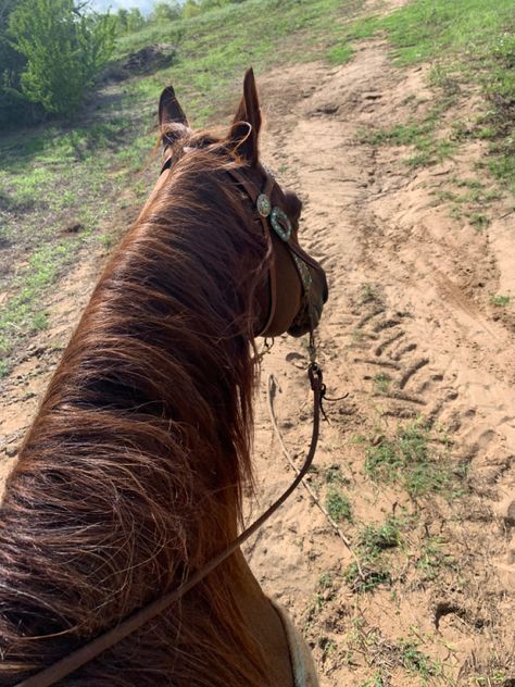 Mexico Life, Cowgirl Aesthetic, Beautiful Horses, Life Goals, Horse Riding, Rodeo, Equestrian, Snapchat, Horses