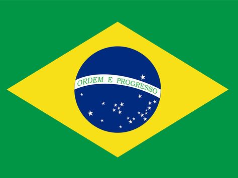 BRAZIL Flag Brazil, Brasil Flag, Country Flags Icons, County Flags, Anime Dubbed, Ronaldo Pictures, Brazilian Flag, Diy Spring Crafts, Bullet Journal Mood Tracker Ideas