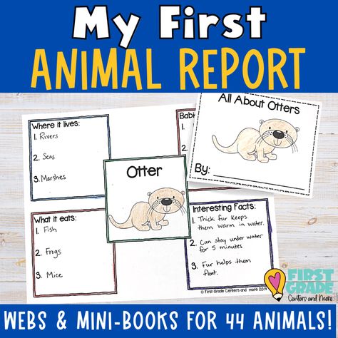 Writing an Animal Report: Mini Lessons to Teach Animal Report First Grade, First Grade Centers, Reading Interventionist, Reading Response Journals, Animal Report, Reader Response, Animals Information, Topic Sentences, First Grade Writing