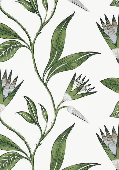 CLEO VINE, Green and White, AT9622, Collection Savoy from Anna French Anna French Wallpaper, Large Print Wallpaper, Wind Garden, Vine Wallpaper, Thibaut Wallpaper, French Wallpaper, Anna French, Tropical Patterns, Go Wallpaper