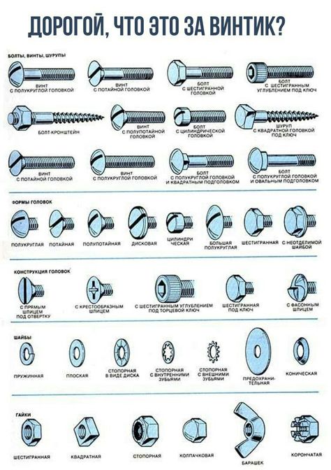 Types Of Screws, Nut And Bolt Storage, Tool Poster, Engineering Tools, Diy Patio Furniture Cheap, Wooden Pallet Projects, Diy Classroom, Classroom Furniture, Cordless Power Tools