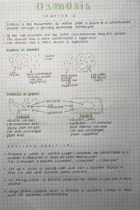 Osmosis Notes, Science Revision, Biology Revision, School Study Ideas, Study Flashcards, Science Notes, Biology Notes, Cell Membrane, Studying Inspo