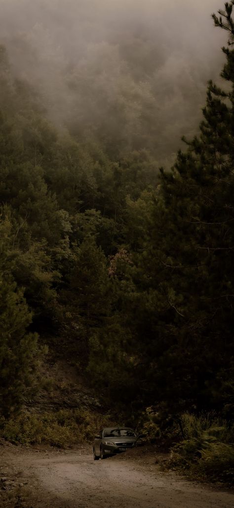 Outdoor Lockscreen, Forrest Asethic Wallpaper, Dark Woodsy Aesthetic, Black Moody Wallpaper, Moody Lockscreen, Moody Iphone Wallpaper, Wilderness Wallpaper, Dark Naturalism Aesthetic, Forest Wallpaper Iphone