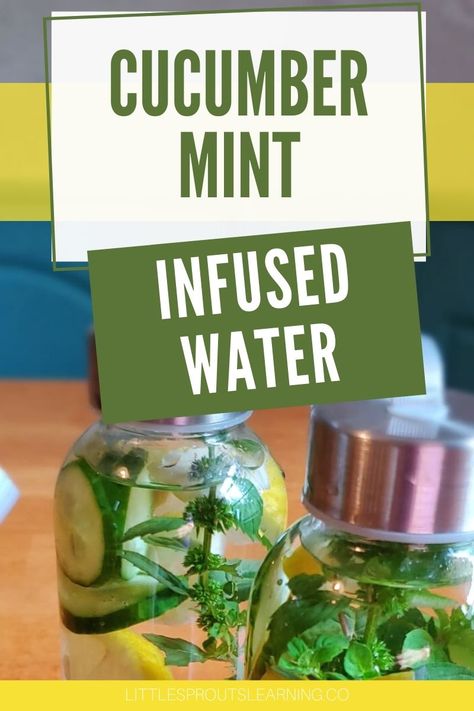 This easy cucumber mint infused water makes a cool refreshing drink to beat the heat. It's not sweetened and doesn't have anything artificial. Making infused water is thirst-quenching and healthy too! Kids Drinks Party, Mint Infused Water, Cucumber Infused Water, Healthy Toddler Snacks, Cucumber Water, Refreshing Summer Drinks, Cucumber Recipes, Garden Recipes, Summer Refreshments