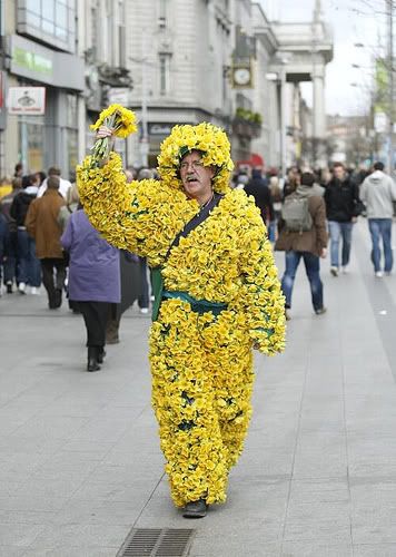 Daffodils William Wordsworth, Welsh Symbols, St Davids Day, Northern Wales, Jane Davies, Welsh Rugby, Saint David, Highland Games, Keep It Clean