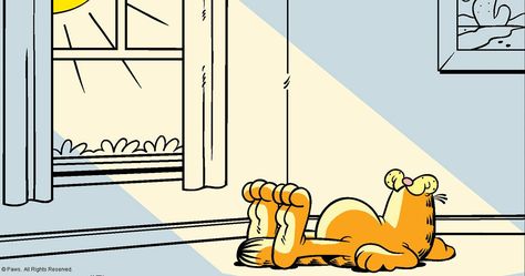 Garfield Widget, Garfield Background, Garfield Wallpaper, Garfield Pictures, Cartoon Mouths, Garfield Images, Phone Widget, Garfield Cartoon, I Hate Mondays