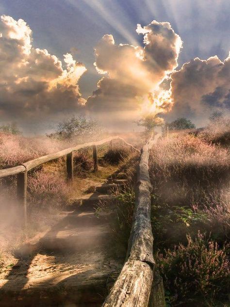 Zen Vibes, Stairway To Heaven, Beautiful Sky, To Heaven, Beautiful Photography, Nature Beauty, Sunrise Sunset, Pretty Pictures, Beautiful World