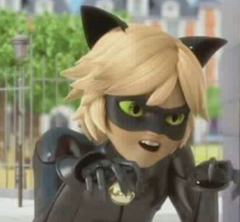 Adrian Agreste, Trust You, Adrien Agreste, Miraculous Ladybug Funny, Funny Cat Pictures, Head Over Heels, Meme Faces, Cartoon Shows, Cat Noir