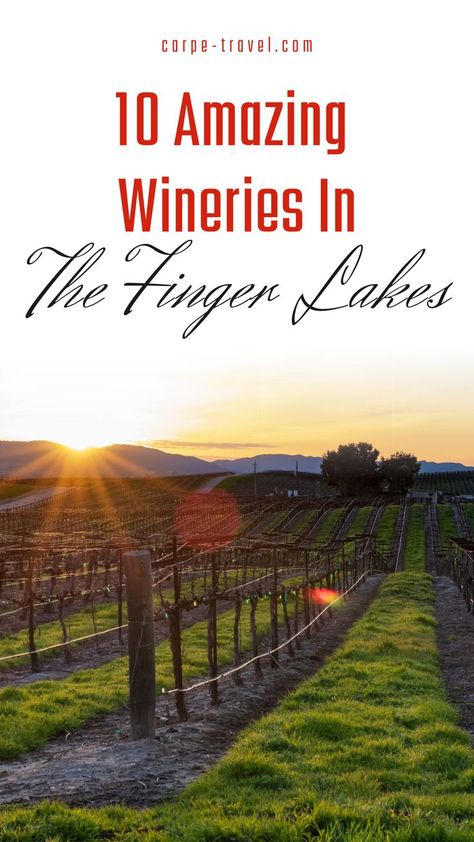 Our recommendations for the top 10 wineries in the Finger Lakes based on the quality of their wines and unique histories. See the full Finger Lakes Wine Travel Guide on where to sip, stay and things to do. Finger Lakes Weekend Trip, Finger Lakes Travel Guide, Finger Lakes Camping, Fingerlakes Ny Wineries, Hiking Finger Lakes, Finger Lakes Wine Tour, Finger Lakes Wineries, Wine Tips, Canandaigua Lake