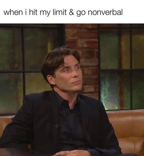 Providence Ri, Cillian Murphy, Funny Relatable Quotes, Intj, I Can Relate, Sarcastic Quotes, How I Feel, Bones Funny, Relatable Quotes