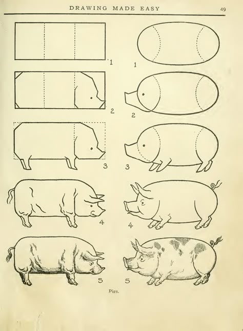 Drawing Made Easy, Pig Drawing, Drawings Of Animals, Sketching Tips, Draw Animals, Drawing Animals, Easy A, Book Drawing, Art Instructions