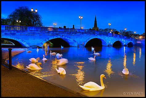 Bedford England. I stood right there during the day. Bedford Town Uk, Bedford England, England Vacation, Uk Places, Rain Falling, Pat Pat, Nikon D700, Arch Bridge, Street Lights