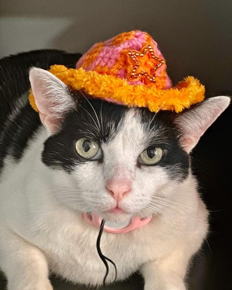 yee haw!!! 🤠🐱🩷🧡✨ thank u so much for letting me make your vision come to life, @cosmicos.petbakery !!! 🫶🏻 custom cowboy hat set 🧡 #crochet Fuzzy Cowboy Hat, Cowboy Hat Crochet, Cat Cowboy Hat Crochet, Cat Cowboy Hat, Cat Wearing Cowboy Hat, Custom Cowboy Hats, Thank U So Much, Yee Haw, Thank U