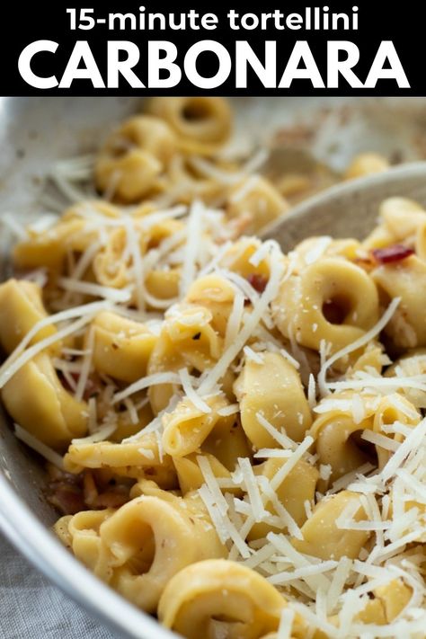 Explore the rich and creamy flavors of tortellini carbonara with these easy tortellini carbonara recipes. Elevate your pasta game with this delicious twist on a classic dish that's perfect for a cozy night in or a family dinner. Whether you're a seasoned chef or new to cooking, these recipes are simple to follow and sure to impress. Indulge in the comforting combination of tender tortellini, crispy bacon, creamy sauce, and savory Parmesan cheese. Bacon Tortellini, Creamy Mushroom Pasta Sauce, Tortellini Carbonara, Vegetarian Pasta Recipes Easy, Carbonara Recipes, Pasta Bake Vegetarian, Easy Tortellini, Creamy Tortellini, Creamy Pesto Pasta