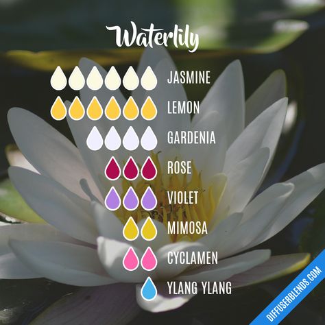 Violet Essential Oil, Scent Combos, Essential Oil Perfumes Recipes, Essential Oil Combinations, Essential Oil Diffuser Blends Recipes, Perfume Recipes, Essential Oils Guide, Diy Perfume, Essential Oil Diffuser Recipes